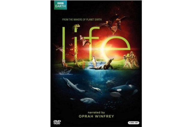 Dünyanın en iyi televizyon serileri A24