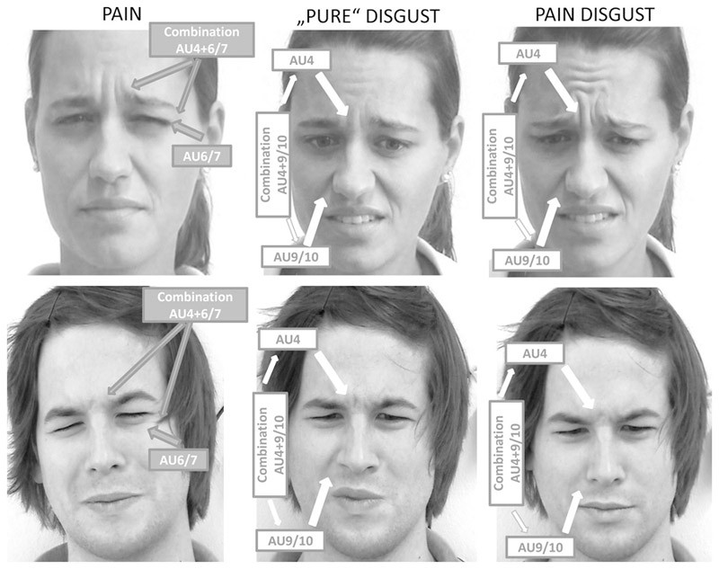 Yalancıyı anlamanın 7 yolu A24