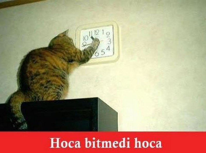 YGS 2017 sonrası paylaşılan en komik ve ilginç capsler A24