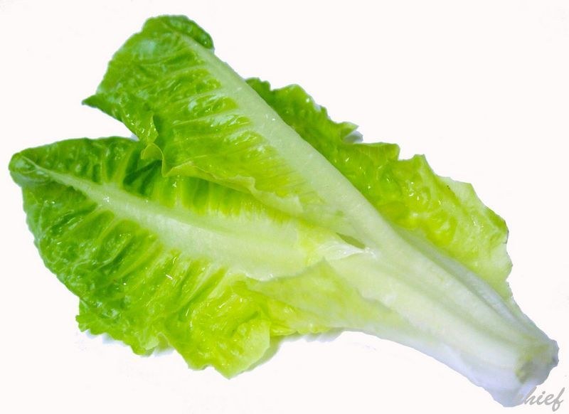 Sıcak havalarda hararet gideren 8 besin A24