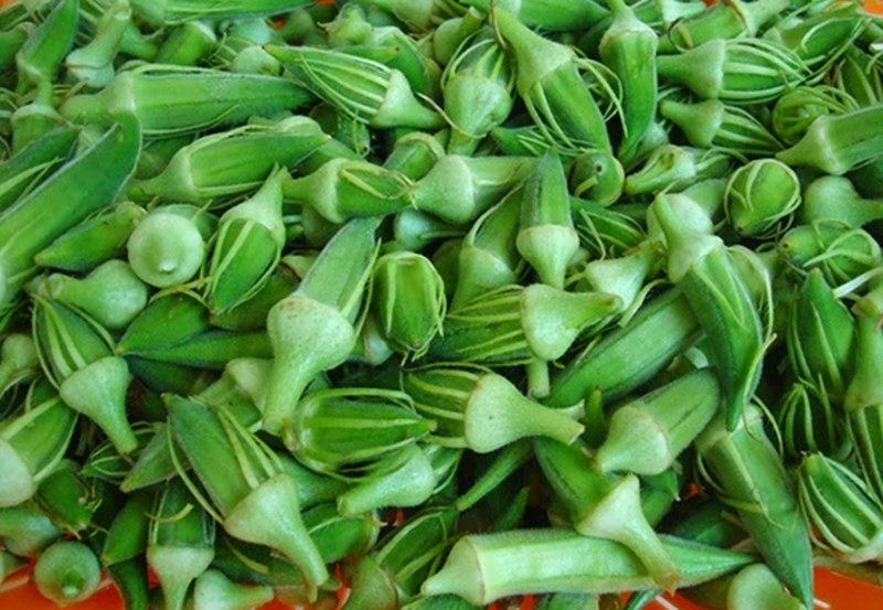 Bamya suyunun sağlık açısından faydaları nelerdir? A24