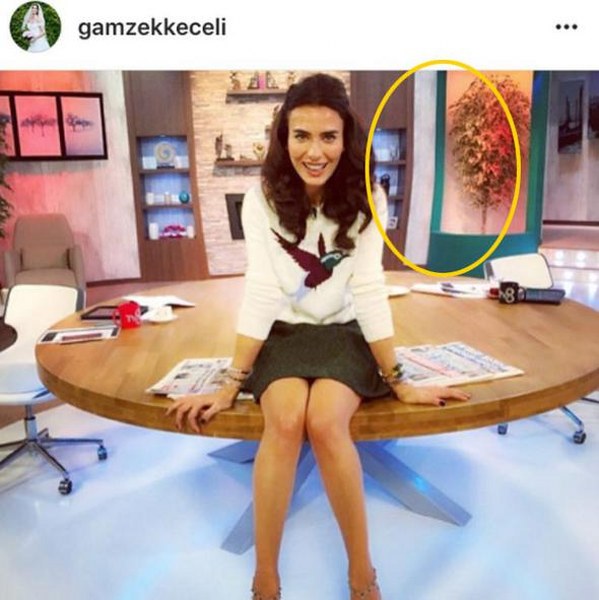 Photoshop yapmak isterken karizmayı çizdiren ünlüler A24