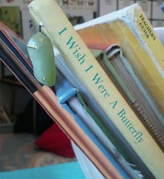 Photoshop efekti sanılan mükemmel zamanlama ile çekilmiş resimler A24