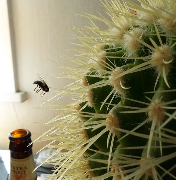 Photoshop efekti sanılan mükemmel zamanlama ile çekilmiş resimler A24