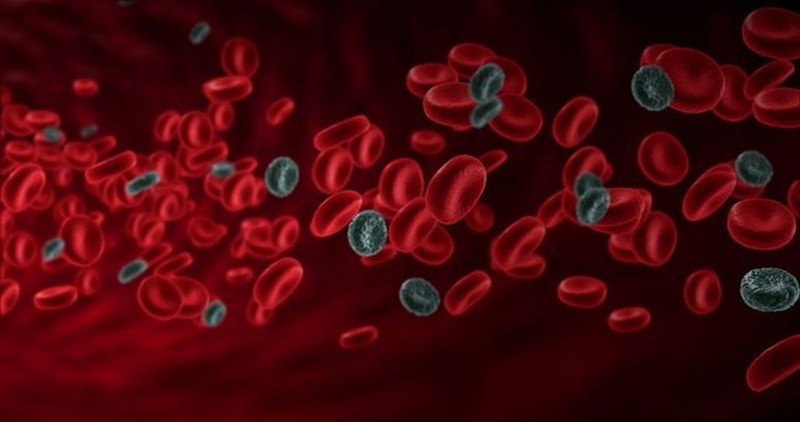 Vitamin eksikliğinin belirtileri nelerdir? A24