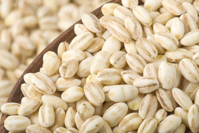 İrem Derici'nin zayıflamasını sağlayan Arpa Suyu Diyeti nedir? A24