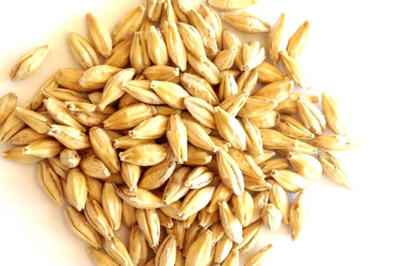 İrem Derici'nin zayıflamasını sağlayan Arpa Suyu Diyeti nedir? A24