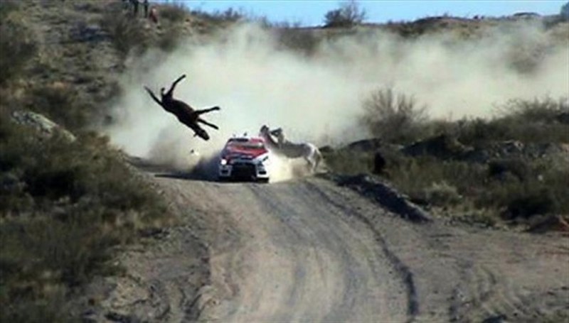 Son yıllarda çekilmiş İşte O An dedirten en iyi kareler... A24