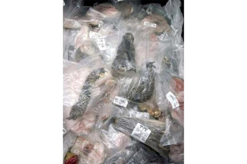 Çin'de çekilen akıllara zarar fotoğraf kareleri.... A24