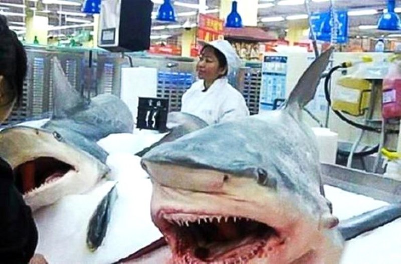 Çin'de çekilen akıllara zarar fotoğraf kareleri.... A24