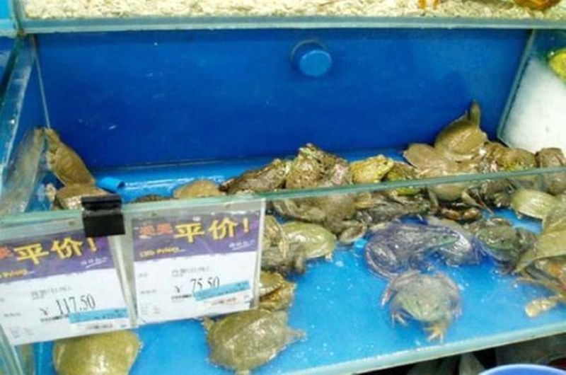 Çin'de çekilen akıllara zarar fotoğraf kareleri.... A24