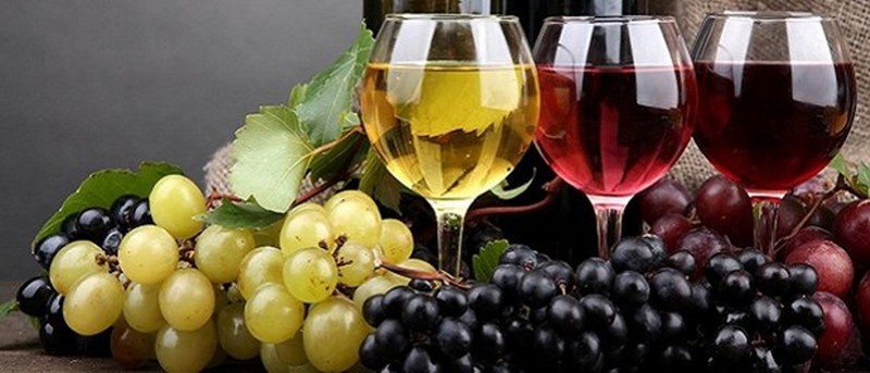 Sağlık için en gerekli ve önemli 50 gıda... A24