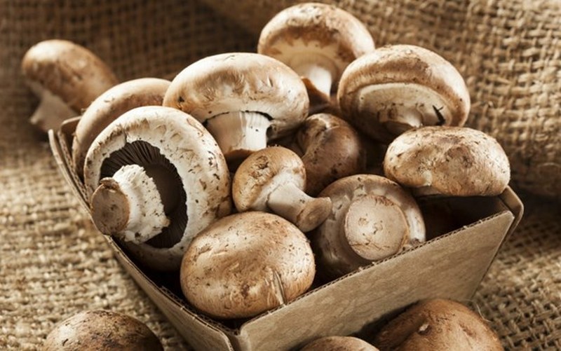 Sağlık için en gerekli ve önemli 50 gıda... A24