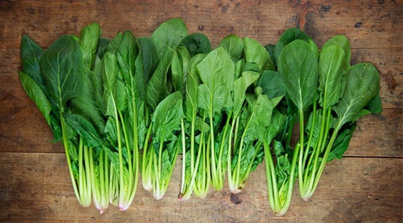 Sağlık için en gerekli ve önemli 50 gıda... A24