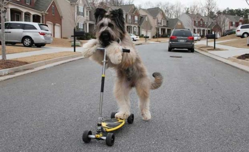 Guinness Rekorlar Kitabı'na girmeyi başarmış en tuhaf 10 rekor A24