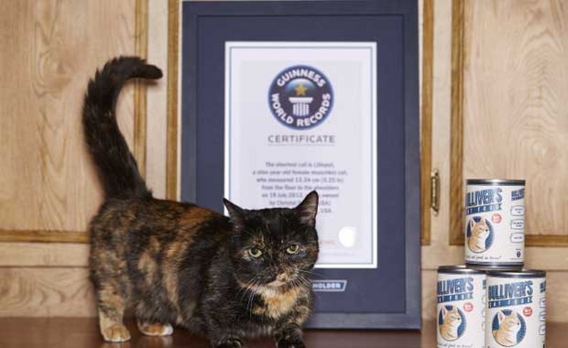 Guinness Rekorlar Kitabı'na girmeyi başarmış en tuhaf 10 rekor A24