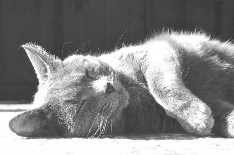 Instagram paylaşımlarınız karakterinizi ortaya veriyor! A24