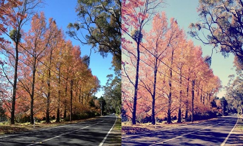 Instagram paylaşımlarınız karakterinizi ortaya veriyor! A24