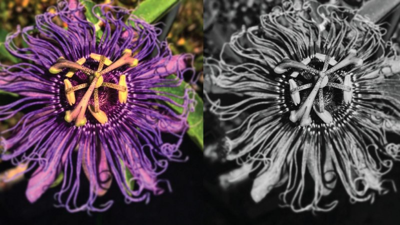 Instagram paylaşımlarınız karakterinizi ortaya veriyor! A24