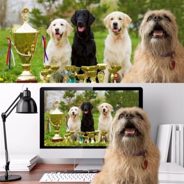 Sosyal Medyada her gördüğünüze inanmamanız gerektiğini ispatlayan 80 resim A24