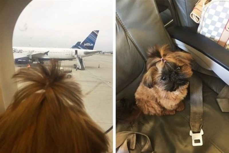 Sosyal Medyada her gördüğünüze inanmamanız gerektiğini ispatlayan 80 resim A24