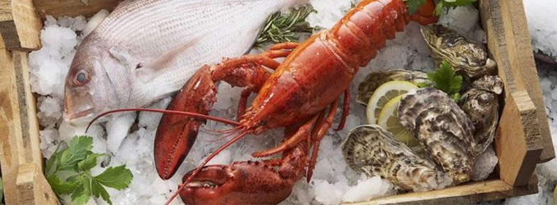 Dondurulmuş gıdalar hakkında bilmemiz gereken önemli 5 konu... A24