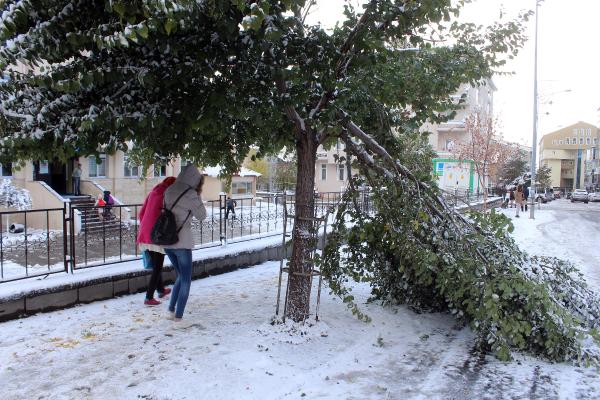 Kar çilesi başladı! 20 cm oldu A24