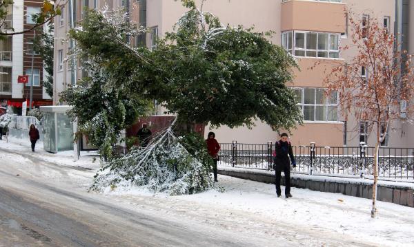 Kar çilesi başladı! 20 cm oldu A24