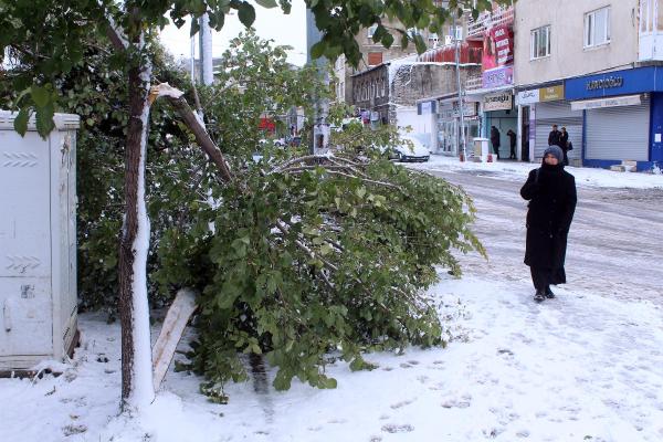 Kar çilesi başladı! 20 cm oldu A24