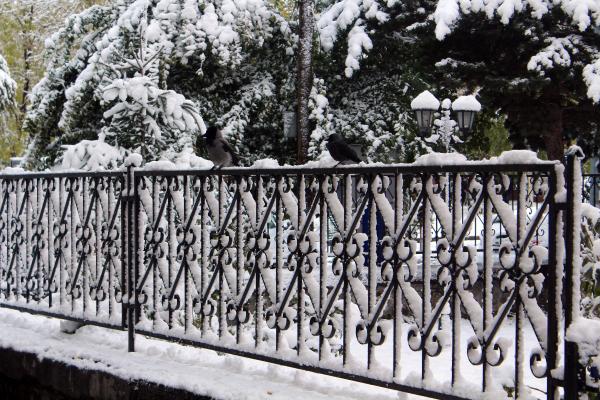 Kar çilesi başladı! 20 cm oldu A24