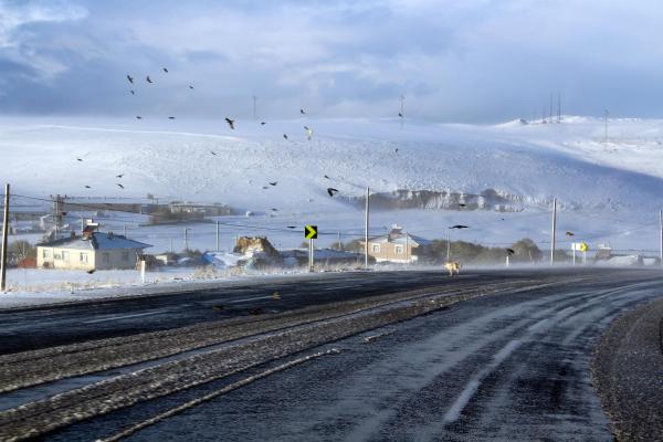 Kar çilesi başladı! 20 cm oldu A24
