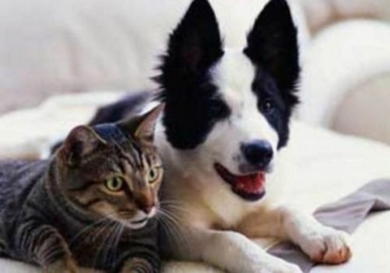 Dünyanın en enteresan bilgileri... A24