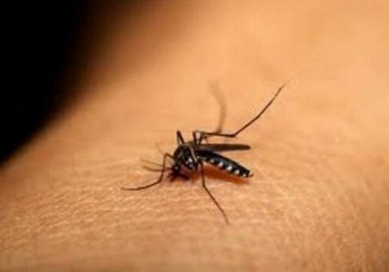 Dünyanın en enteresan bilgileri... A24