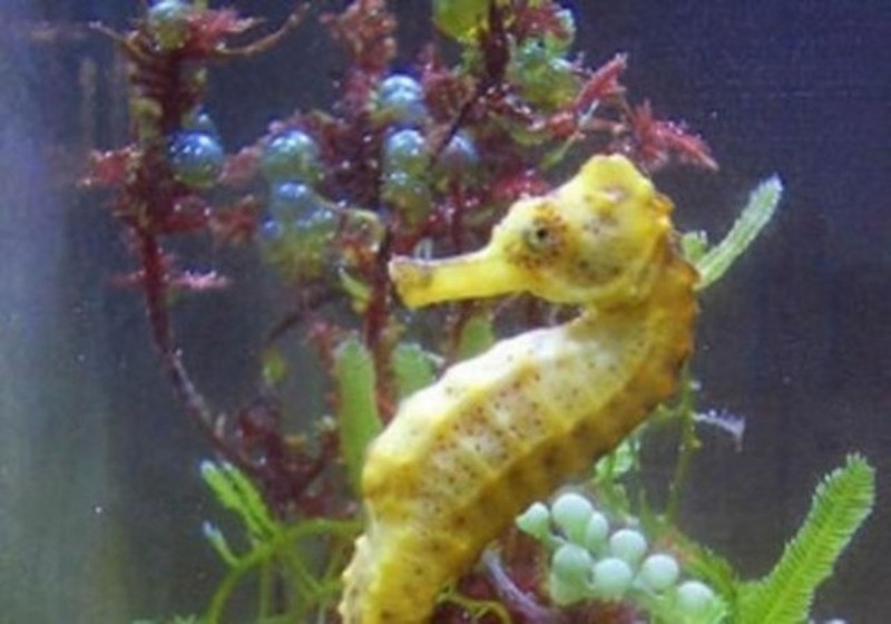 Dünyanın en enteresan bilgileri... A24