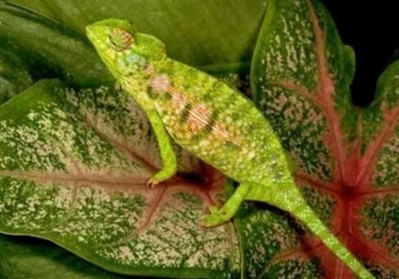 Dünyanın en enteresan bilgileri... A24