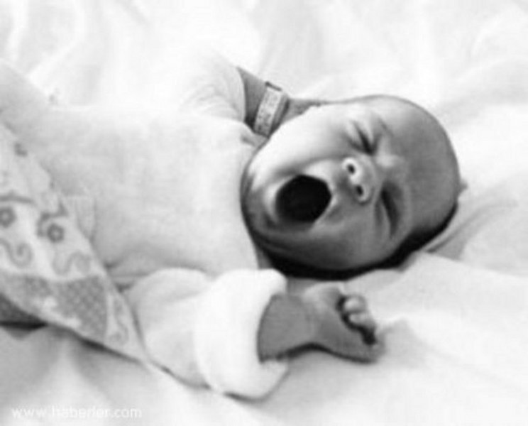 Dünyanın en enteresan bilgileri... A24