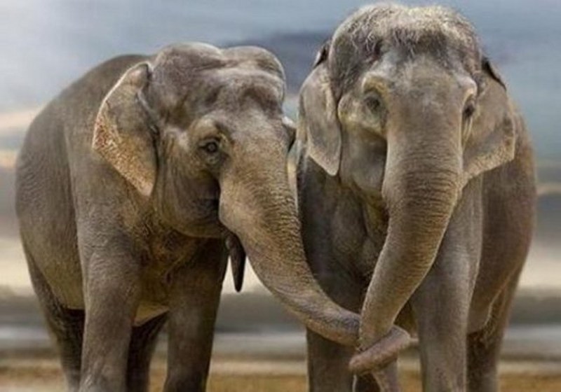 Dünyanın en enteresan bilgileri... A24