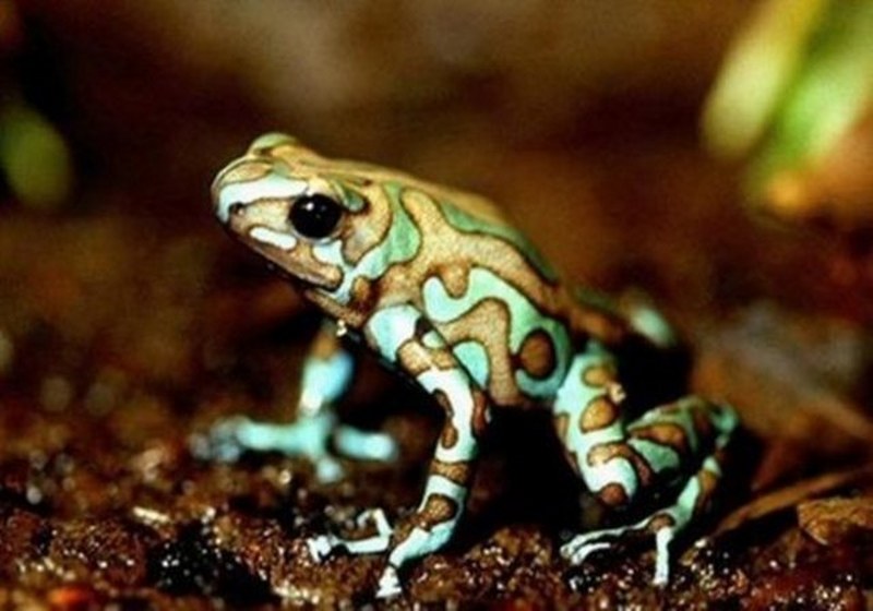 Dünyanın en enteresan bilgileri... A24