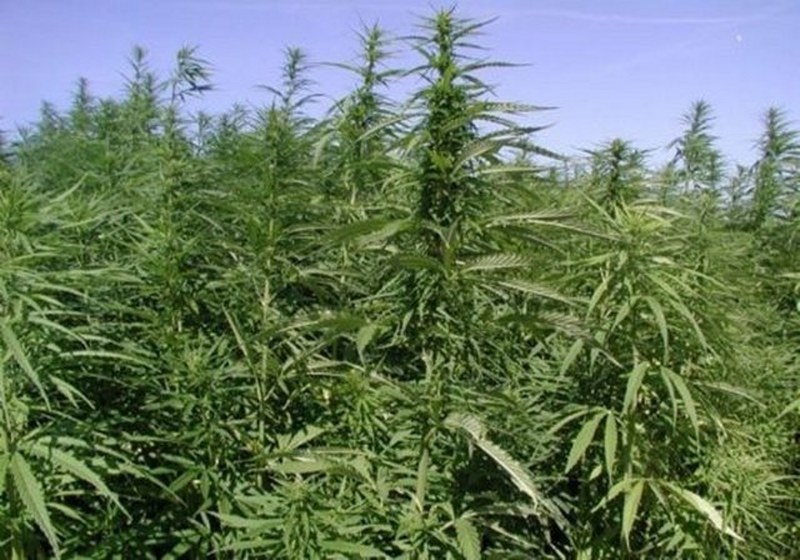 Dünyanın en enteresan bilgileri... A24