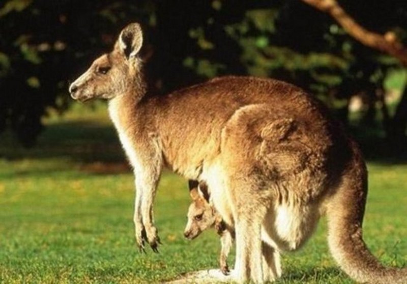 Dünyanın en enteresan bilgileri... A24