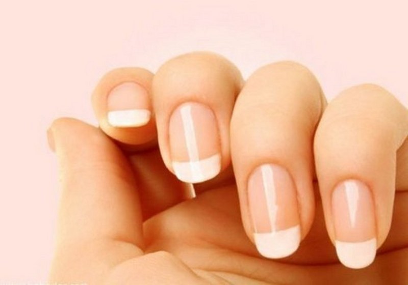 Dünyanın en enteresan bilgileri... A24