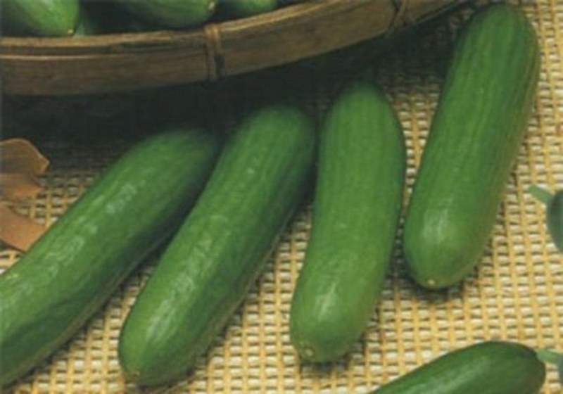 Dünyanın en enteresan bilgileri... A24