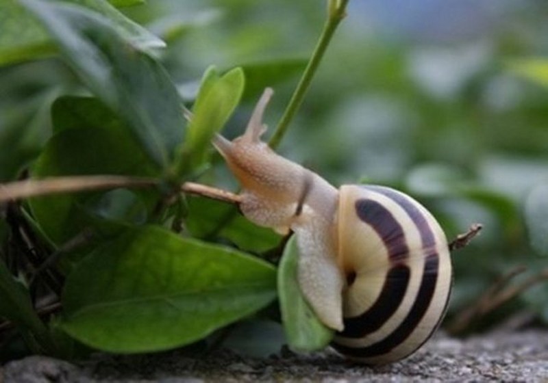 Dünyanın en enteresan bilgileri... A24