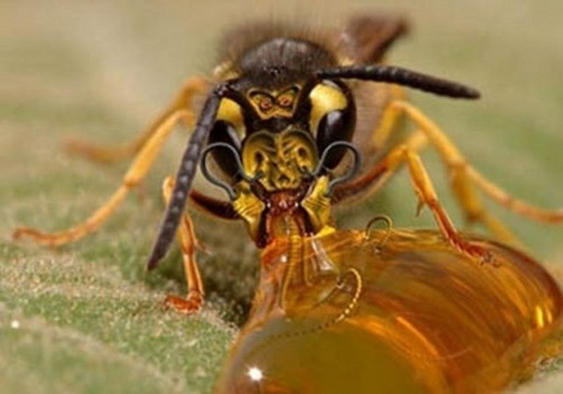 Dünyanın en enteresan bilgileri... A24