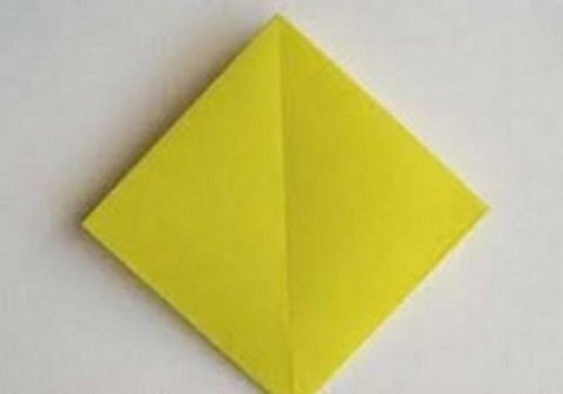 Dünyanın en enteresan bilgileri... A24