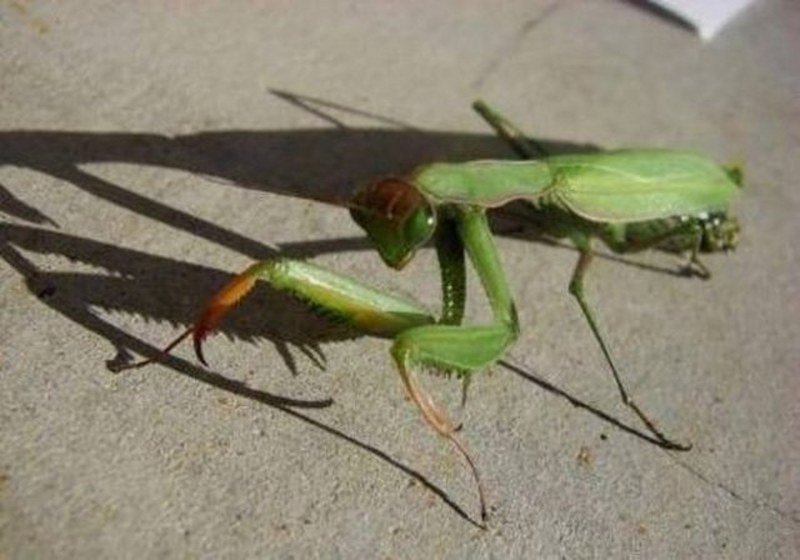 Dünyanın en enteresan bilgileri... A24