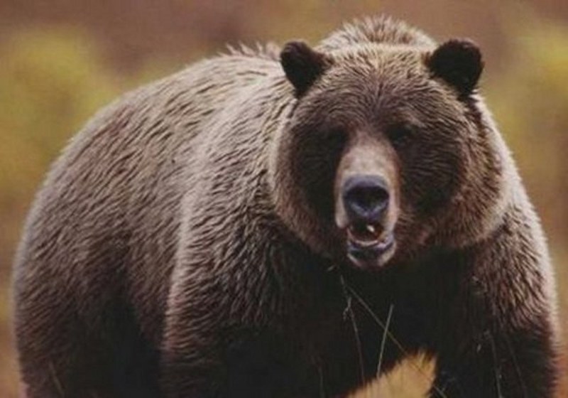 Dünyanın en enteresan bilgileri... A24