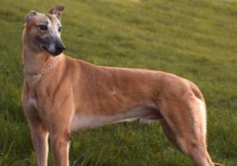 Dünyanın en enteresan bilgileri... A24