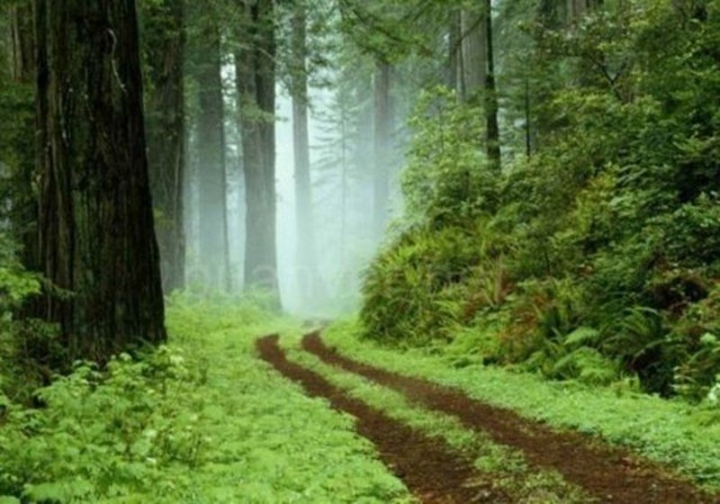 Dünyanın en enteresan bilgileri... A24