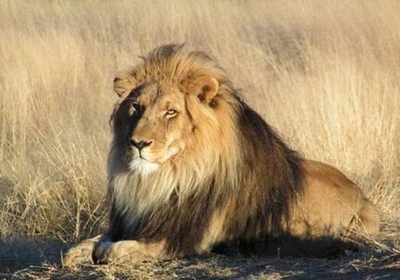 Dünyanın en enteresan bilgileri... A24